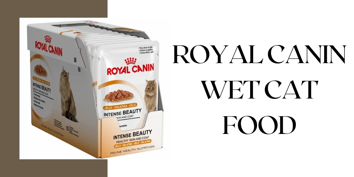 royal canin wet cat food