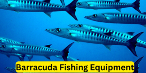 Barracuda Fishing Equipment