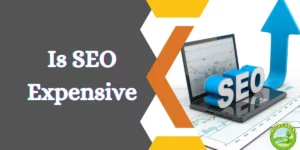 Is SEO Expensive