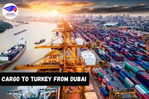 Cargo to Turkey From Dubai