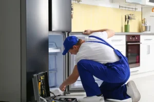 Expert Fridge Repair Services Near Dubai Silicon Oasis