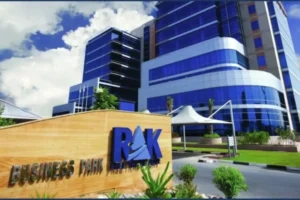 What Do Ras Al Khaimah Business Setup Consultants Offer